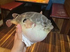 -永安鱼庄·镇江菜(丁卯店)