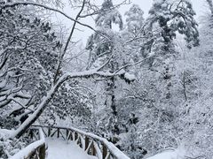 -龙苍沟森林公园