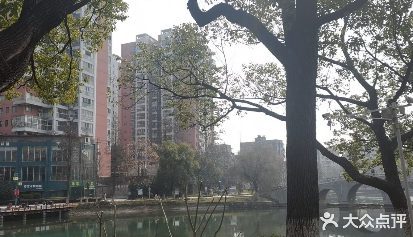 宜昌的鱼确实是鲜美，小城市的生活也好悠闲