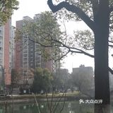 宜昌的鱼确实是鲜美，小城市的生活也好悠闲