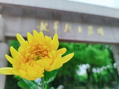 -上海市龙华烈士陵园