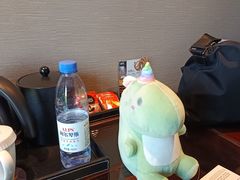 -常州环球恐龙城维景国际大酒店