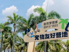 -欢乐海岸椰林沙滩-2025湾区超级灯会