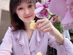 -上海和平饭店华懋阁 Cathay Room