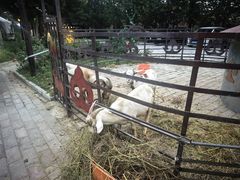 -海拉尔蒙古包(房山长阳总店)