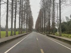 -青城山