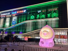 -翠微百货(龙德店)