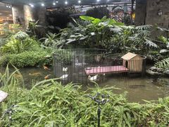 -凯德广场(学府店)