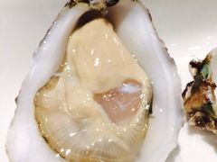 -Oyster Talks 四度蚝法餐厅