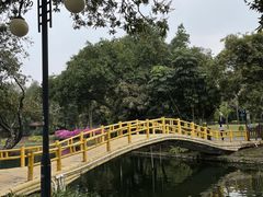 -晓港公园