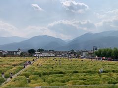 -喜林苑·稻田餐厅(品相府店)