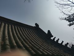 -妙峰山风景名胜区
