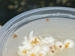 -潘玉麟糖粥