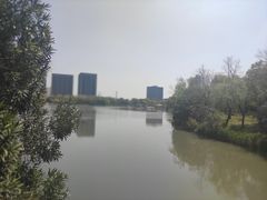 -南翔镇银翔湖公园