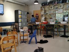 -平行世界·猫咖(首经贸店)