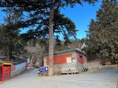 -阳台山自然风景区