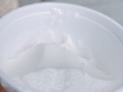 -洪馨椰子