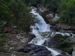 -海南热带雨林国家公园吊罗山景区