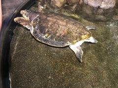 -青岛海底世界-水族馆