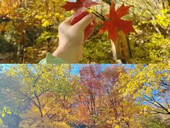 -云峰山自然风景区