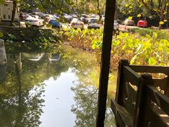 -天怡·鱼工厂(梅溪湖店)