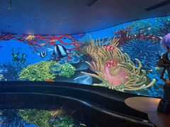 -唐宫足道·SPA·影院会馆(木渎店)