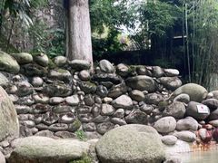 -三江森林温泉度假区