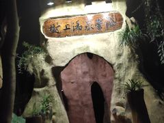 -天门沟九州驿站树上汤泉