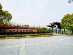 -帐篷客·溪龙茶谷度假酒店