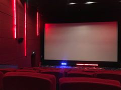 放映厅-奥斯卡升龙国际影城(RealD Cinema)