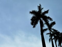 -三亚太阳湾柏悦酒店