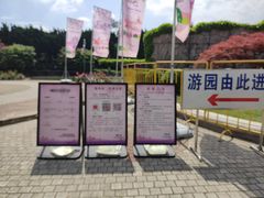 -嘉定紫藤园