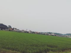 -都斛海鲜街