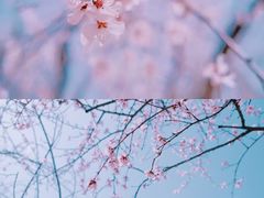 -满都海公园