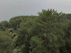 -梦姑塘文化公园
