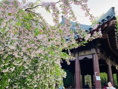 -海棠花溪(元大都城垣遗址公园)