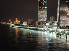 -演武大桥观景平台