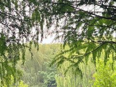 -同里国家湿地公园