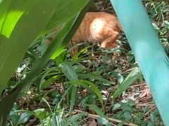 -狼山风景名胜区