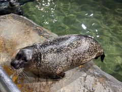-福州罗源湾海洋世界旅游区