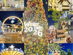 -东莞松山湖万象汇