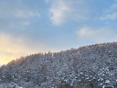 -横道河子东北虎林园