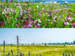 -敕勒川草原文化旅游区