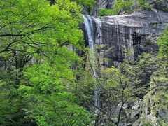 -洛阳白云山景区