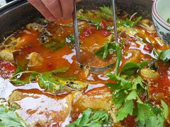 -金三角黄腊丁(奥体店)