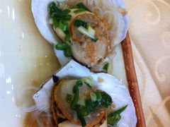 扇贝-海岛渔村大酒店(云霄路店)
