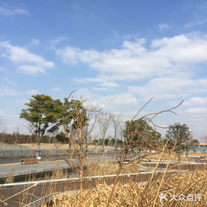 华翔绿地图片