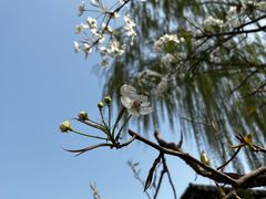 -乔家大院文化园区