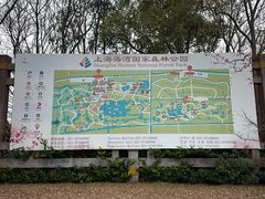 -上海海湾国家森林公园