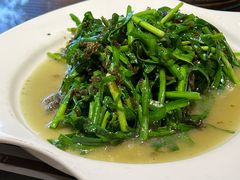 韭菜炒地衣-茅山肴·道家菜·神仙鸡